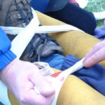 16 Hour/2 day Remote Outdoor First Aid