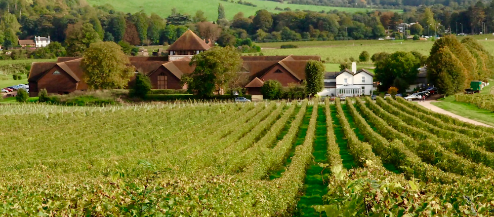 Dorking Walking Festival: 12km – Mole Gap Linear Walk – Leatherhead to Dorking