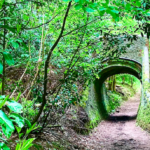 Just Hike: 12km Lovelace trail, West Horsley Place & Sheepleas