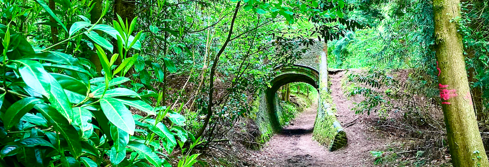 Just Hike: 12km Lovelace trail, West Horsley Place & Sheepleas