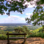 Just Hike: 16km Blackdowns and Temple of the Winds Circular