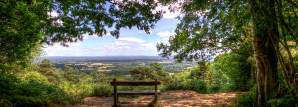 Just Hike: 16km Blackdowns and Temple of the Winds Circular