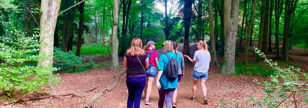 Hike & Chill – 19km St. Marthas Hill, Shere and Golden Hour Lounge