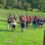 Hike & Vineyard: 12.5km Holmbury loop with Tanhurst tour