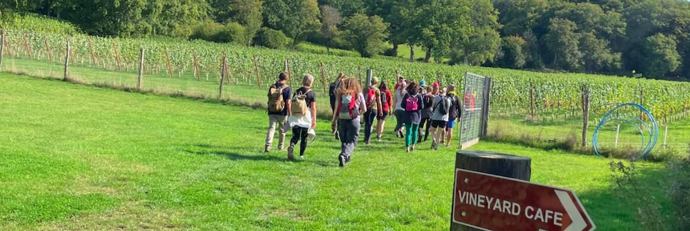 Hike & Vineyard: 12.5km Holmbury loop with Tanhurst tour