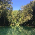An Evening at Silent Pool — Gin, Canapés & Financial Clarity
