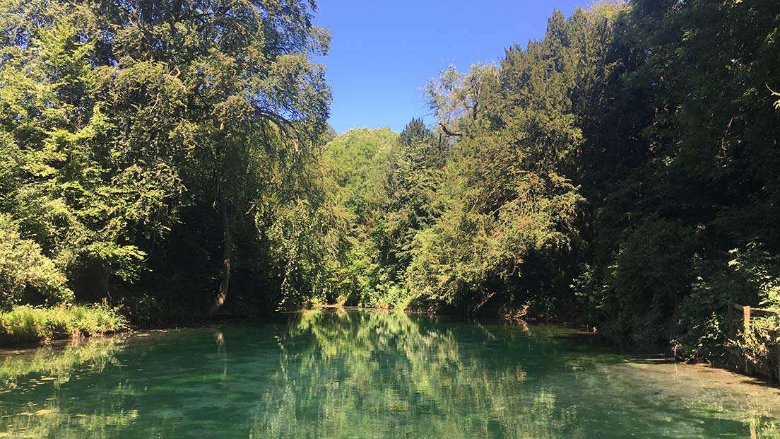 An Evening at Silent Pool — Gin, Canapés & Financial Clarity