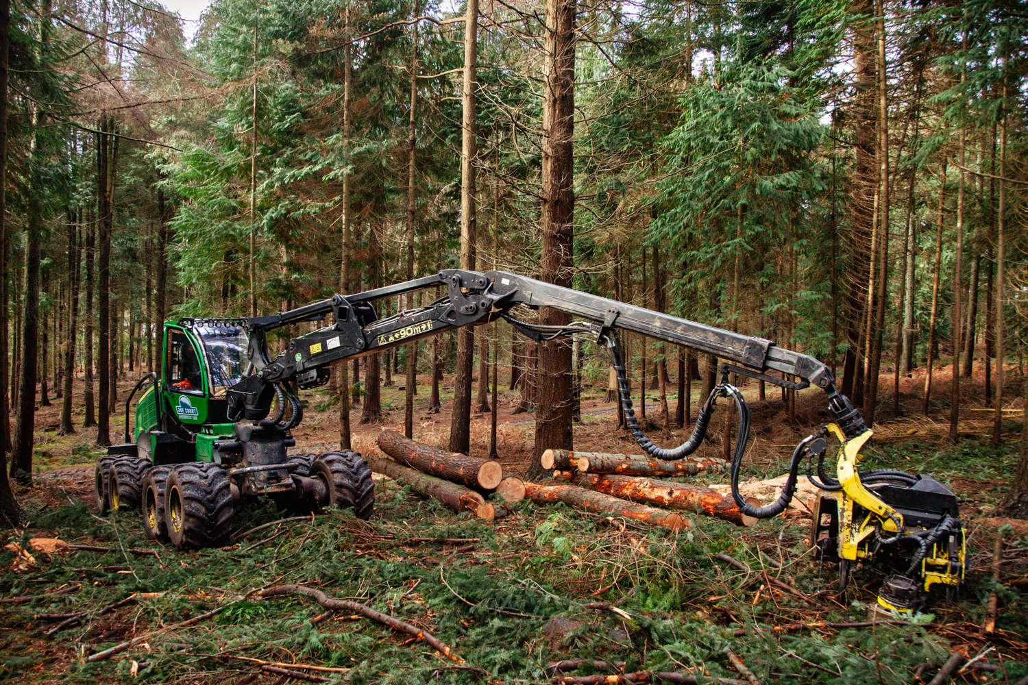 Read more about Joe Court Forestry