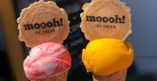 Read more about Moooh! Ice cream