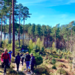 Just Hike: 18km Farnham Heath, Craft Brewery and Bourne Woods