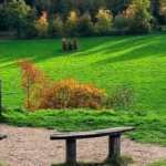 11km Ranmore, Polesden Lacey and Denbies Hillside Circular