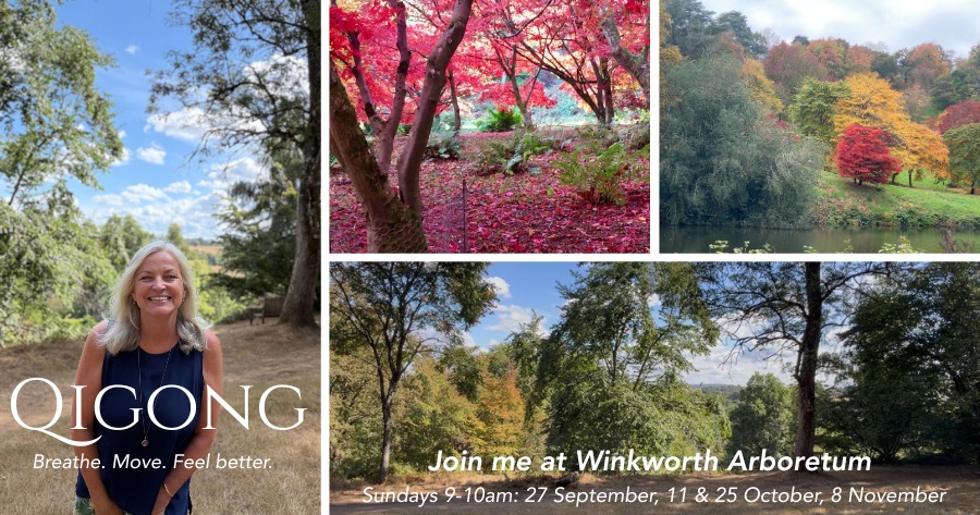 Autumn Qigong at Winkworth Arboretum  – exclusive early morning access