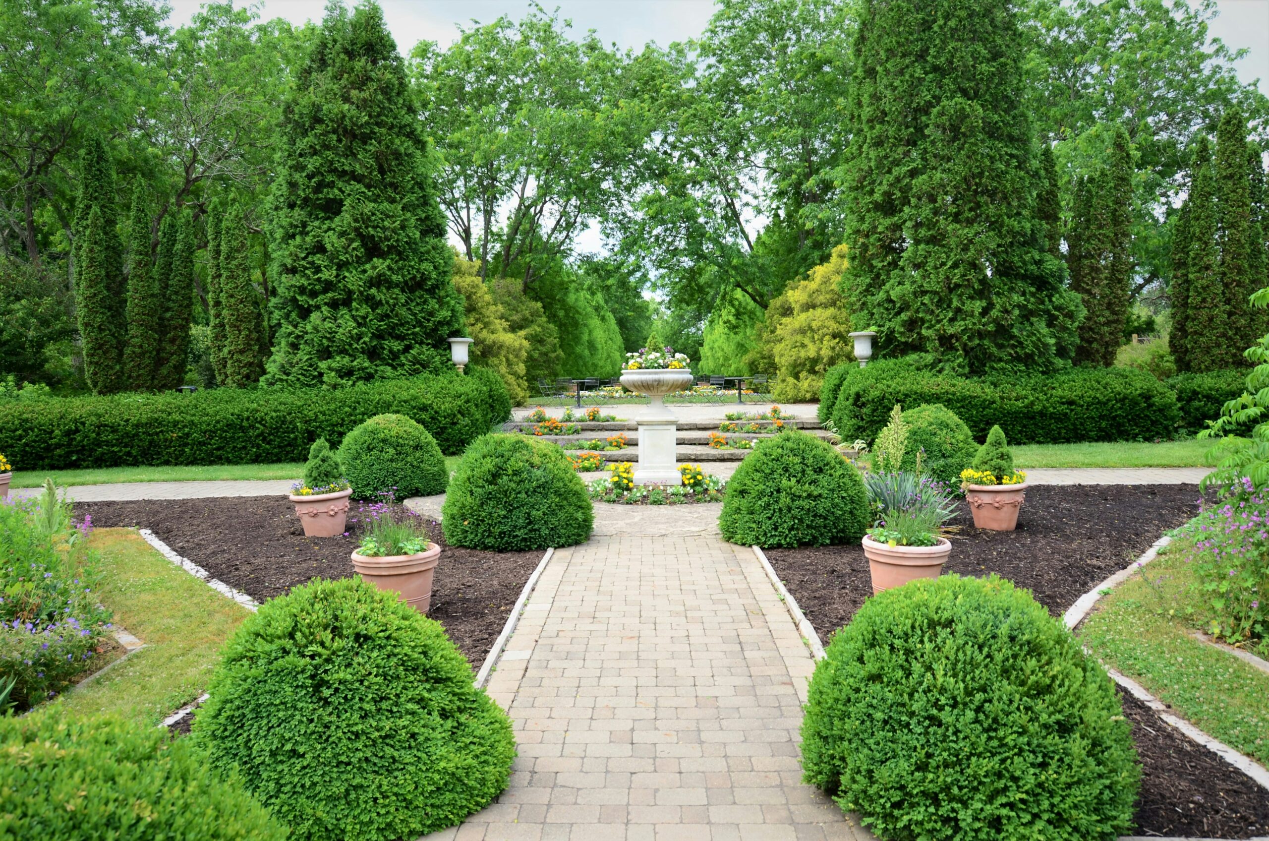 Read more about Southern Grounds Services (SGS)