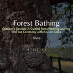 October's Descent: A Guided Forest Bathing Journey with Tea Ceremony