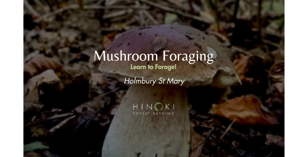 Mushroom Foraging Walk