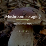 Mushroom Foraging Walk