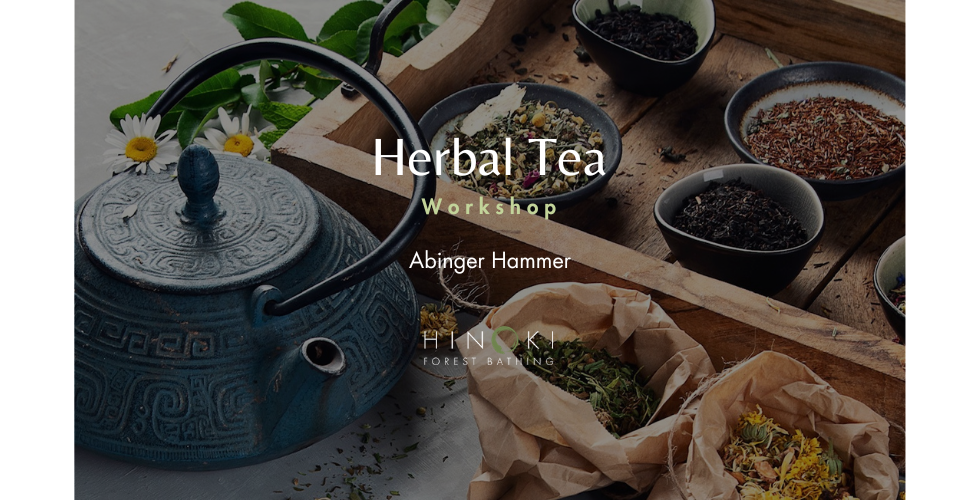 Autumn Infusion: Herbal Tea Workshop