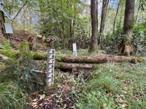 Leaky Dams. Logs stacked with measurement gauge beside. Logs are on the valley floor in a channel. Trees surrounding - area of forest.