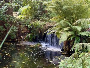 Wotton fishing ponds - surrounded by lush greenery.