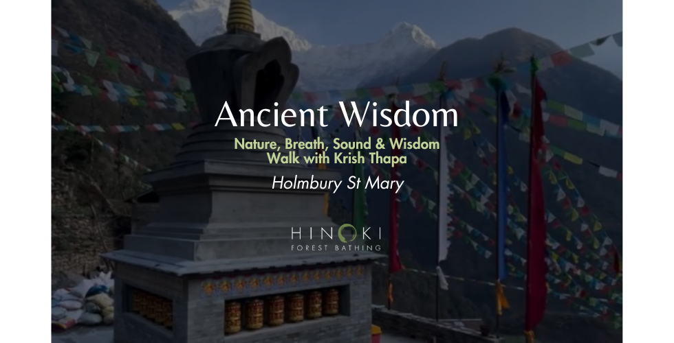 Ancient Wisdom With Krish Thapa: Letting Go, Making Space