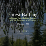 November's Stillness: A Guided Forest Bathing Journey at the Pinetum