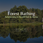 Forest Bathing at Sunrise