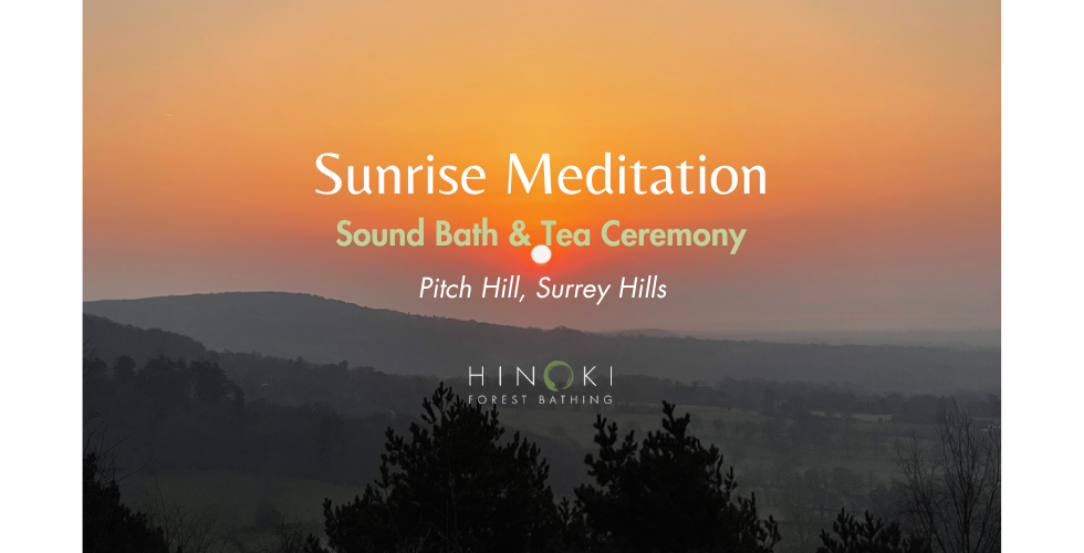 Winter Solstice: A Sunrise Meditation, Sound Bath & Tea Ceremony