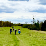 Just Hike: 11km Denbies, Norbury Park and Mickleham Circular