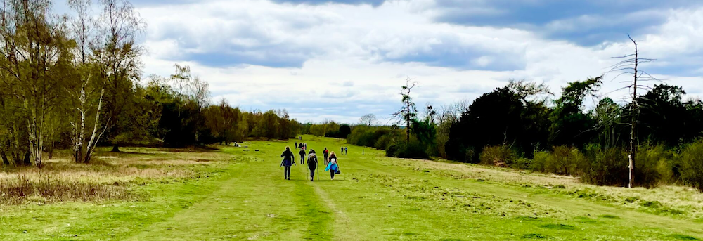 Just Hike: 11km Denbies, Norbury Park and Mickleham Circular