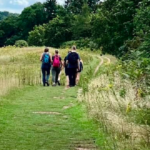 Just Hike: 14km Gomshall to Guildford Along North Downs Way Trail
