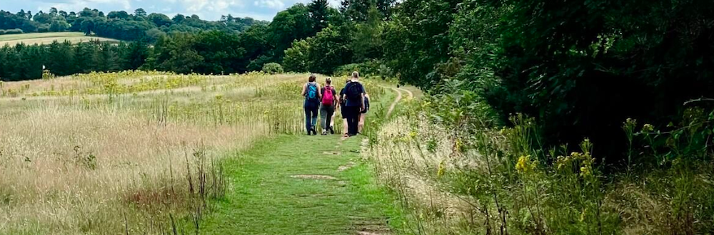 Just Hike: 14km Gomshall to Guildford Along North Downs Way Trail