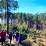 Just Hike: 18km Farnham Heath, Craft Brewery and Bourne Woods