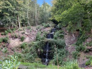 Trees on a slope adjacent to a waterfall that is cascading down four tiers